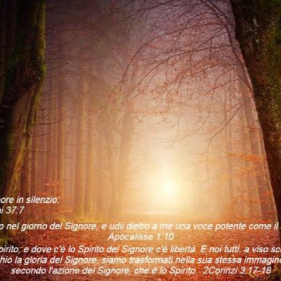 Togli i veli tua vita personale,pensieri,offesa,disobbedienza,dolore spirituale,mancanza di perdono, inganno. Aspetta Dio in preghiera.