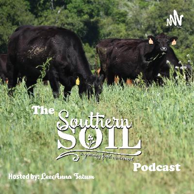 A Look Back: Jeb Bush (no, not that one) and I talk about his time as Director of Forsyth Farmers Market in Savannah (Season 2: Episode 6)