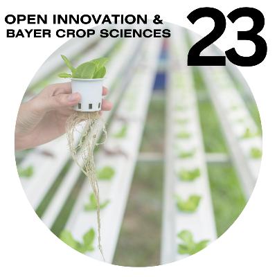 TerreScience | Open Innovation, Testing4Ag and Grants4Ag opportunities | Phil Taylor, Bayer Crop Sciences | Episode #23 TerreScience | Open Innovation, Testing4Ag and Grants4Ag opportunities | Phil Taylor, Bayer Crop Sciences | Episode #23