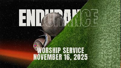 11/16/2025-Endurance