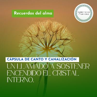 Cápsula de canalización: Un llamado a los guardianes de cristal.