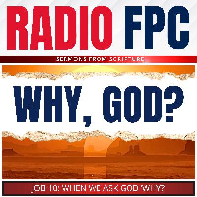 Why, God? (When We Ask God Why)