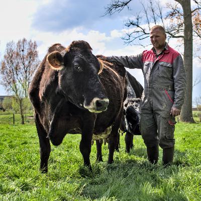 Pier review met melkveehouder Hans Dereepere over regeneratief begrazen