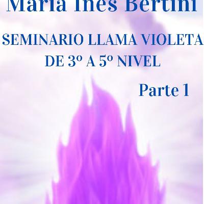 Seminario Llama Violeta y Decretos - Parte 1