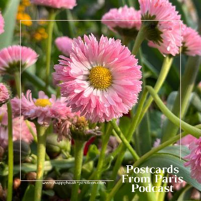 Spring into Presence: Stand Tall & Relax Today Spring into Presence: Stand Tall & Relax Today