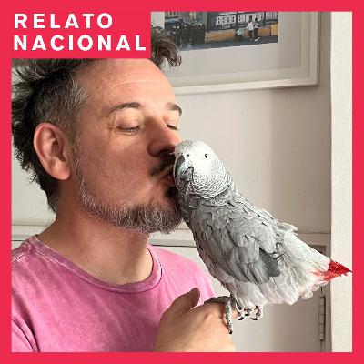 49. El porqué Rita se enamoró de Rodrigo