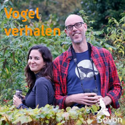 Vogelverhalen 14: Drieteen waar vlieg je allemaal heen?