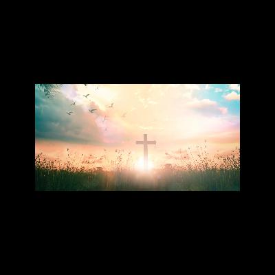 November 9th, 2025 Sermon -- "Some Thoughts on the Resurrection"