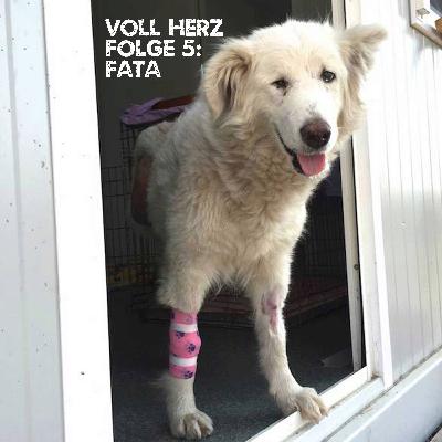 Folge 5 - Fata