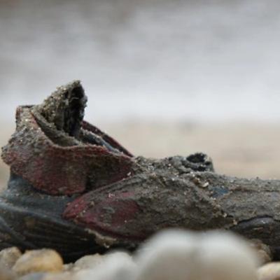 SCP-1667 Shoe-In