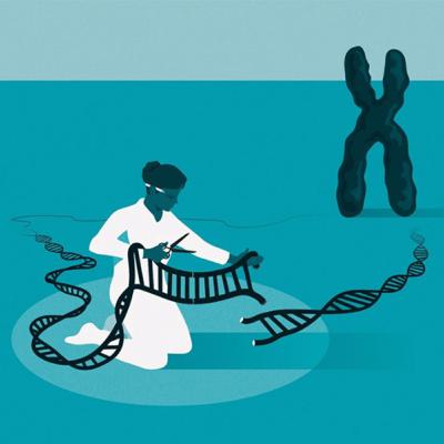 ¿Qué es CRISPR y qué es CRISPR/Cas9?