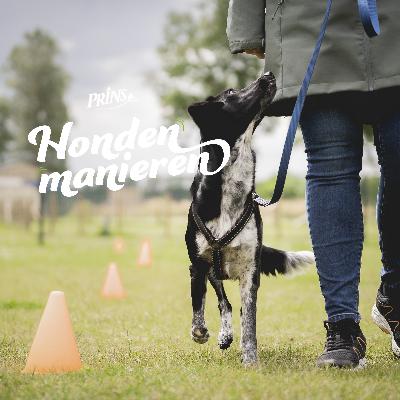 Afl. 22: Ik wil sporten met mijn hond maar hoe?