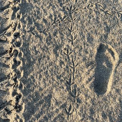 Welcome to Finding Kindness