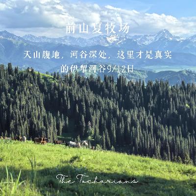25年了，夏季伊犁河谷怎么玩？（上）