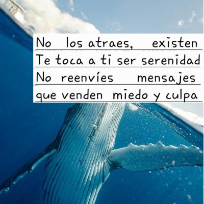 A veces las historias 'malas' enseñan más que las 'buenas'