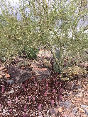 Practice: Good Enough