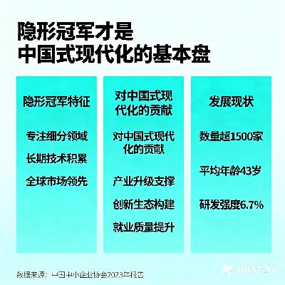 “隐形冠军”是现代化基本盘