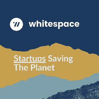 How Code Affects Your Carbon Footprint