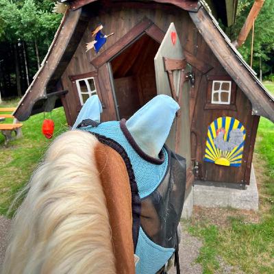 #381 Pferde nur mit Regendecke: Okay oder ein No-Go?