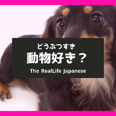動物は好きですか？