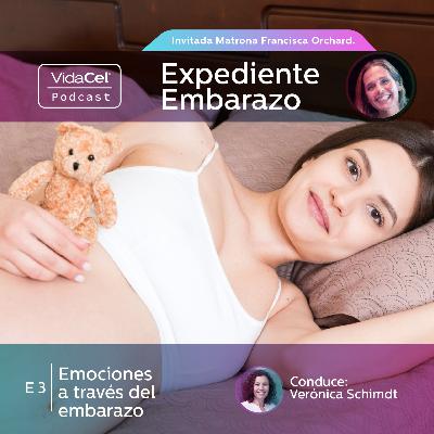 Expediente Embarazo: Emociones a través del Embarazo