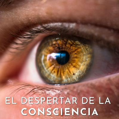El Despertar de la Consciencia El Despertar de la Consciencia