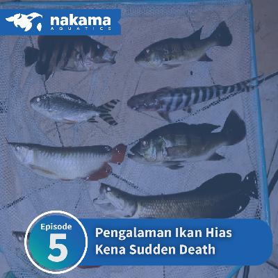 Episode 5 : "Pengalaman Ikan Hias Kena Sudden Death" Episode 5 : "Pengalaman Ikan Hias Kena Sudden Death"