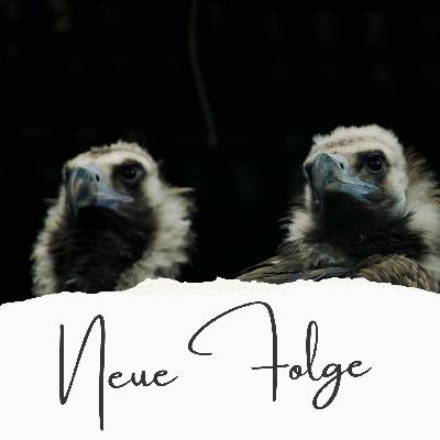 Nun lob mein Seel den Herren (EG 289) Nun lob mein Seel den Herren (EG 289)