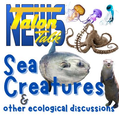 Talon Talk: Sea Creatures: January 2025