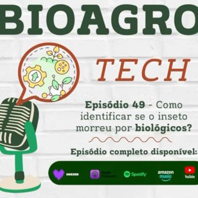 Episódio 49 - Como saber se o inseto morreu por biológico?