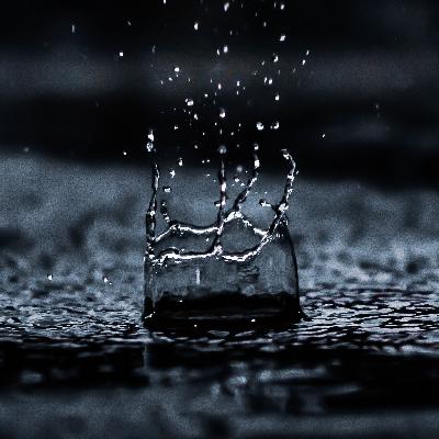 Reading 8: Ch 14 - Connections, Ch 15 - The Skipping Rock, Ch 16 - Fortune Cookies