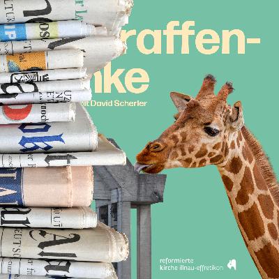 Zeitung - Reaktion auf ZOL-Artikel vom 27.11.2025 Zeitung - Reaktion auf ZOL-Artikel vom 27.11.2025