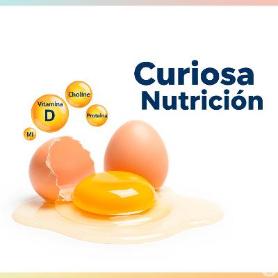 El huevo: ¿villano o héroe nutricional?
