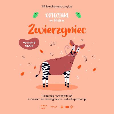 ZWIERZYNIEC: ODC 8 - OKAPI