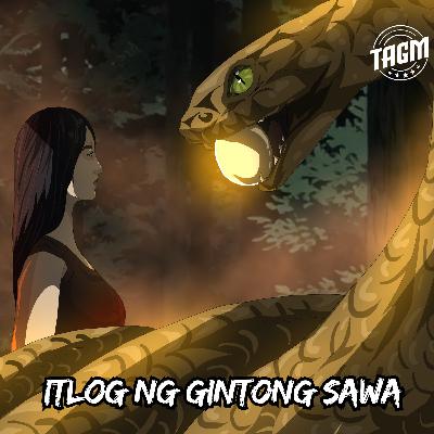 Episode 244 : Itlog Ng Gintong Sawa Episode 244 : Itlog Ng Gintong Sawa