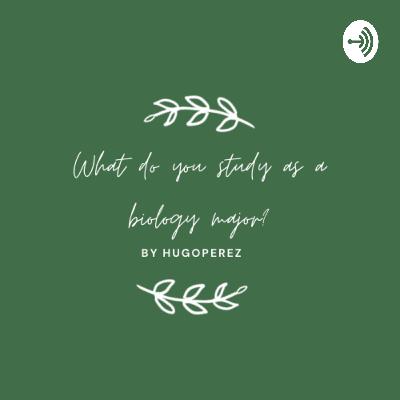 What do you study as a biology major?