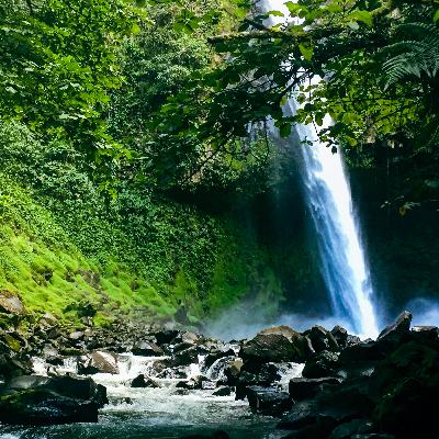 8. Costa Rica - Régions de Arenal et du Centre nord