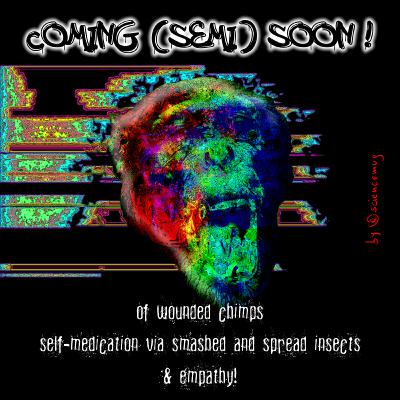 Comin' semi-soon or so!
