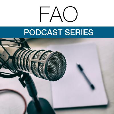Total Joint Replacement of Ankle, Knee, and Hip: How Do Patients Perceive Their Operative Outcomes at 10 Years?