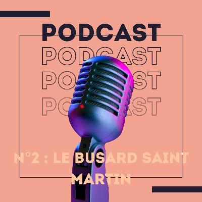 Le busard Saint Martin