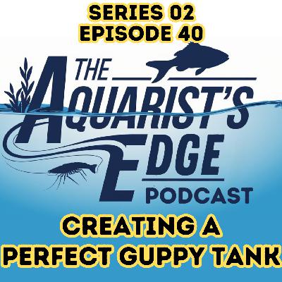 How to Set Up the Perfect Guppy Tank - Temperature, pH, Hardness & Tank Size Guide
