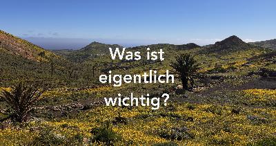 SF218 – Was ist eigentlich wichtig?
