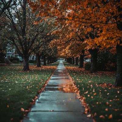 Sidewalk Rain - 10 Hours Sleep Sound Sidewalk Rain - 10 Hours Sleep Sound