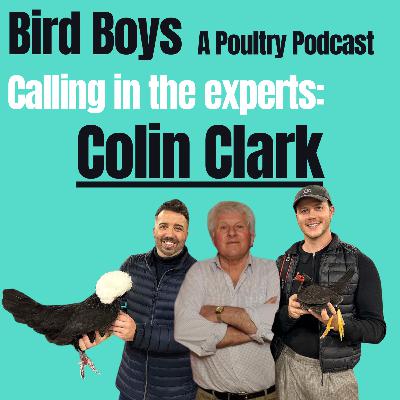 Calling in the experts: Colin Clark