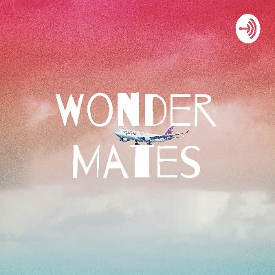 Wonder Mates | #1 Pets, Toasters and imposters