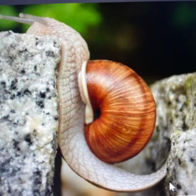 What Happens When Life Changes? Go with the flow? Or, not. What Happens When Life Changes? Go with the flow? Or, not.