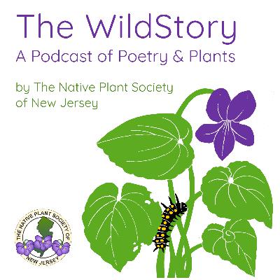 Episode 23: Poet Charise Hoge, Urban Naturalist and Birder Ken Chaya and Children's Author Mélina Mangal⁠