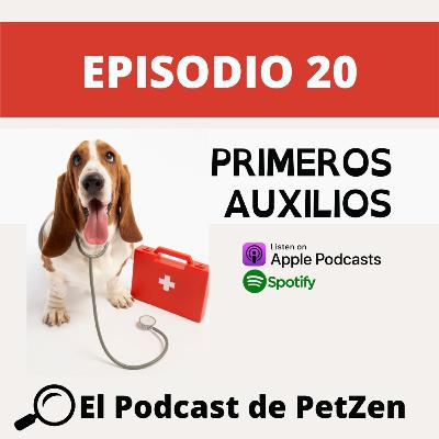 Episodio #20 Primeros Auxilios