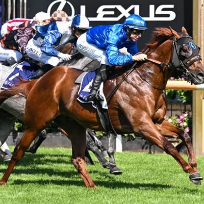 Punter's Preamble - 2026 Super Saturday