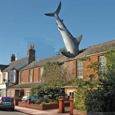 Sean Hanlon on Disproportionate Collapse Sean Hanlon on Disproportionate Collapse